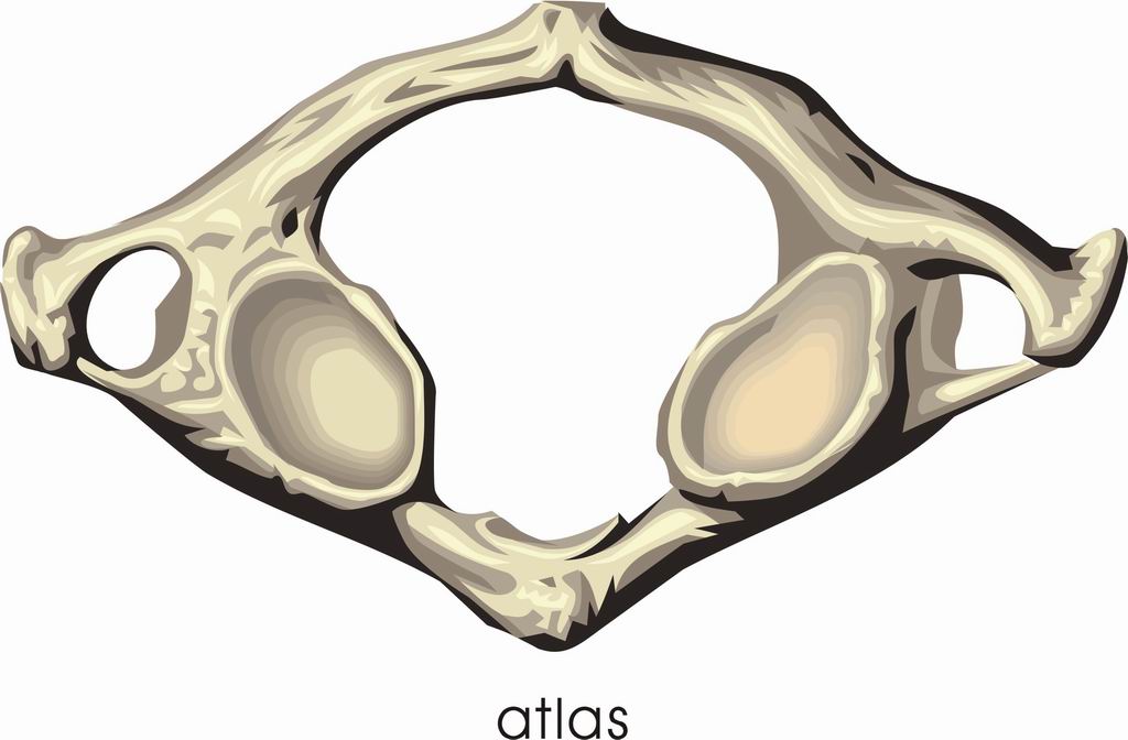 ../Images/ATLAS2.jpg