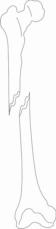 ../Images/SPIRAL.jpg